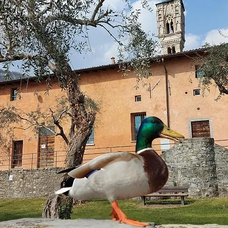 Le Allegre Comari Di * Ossuccio
